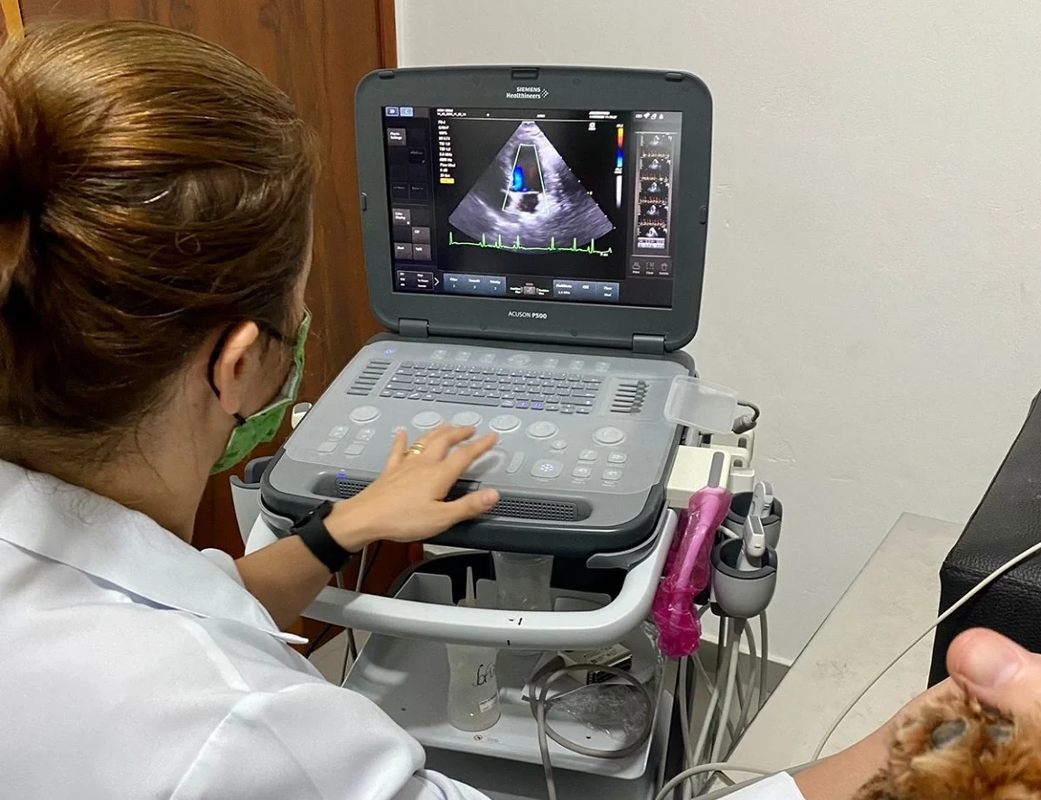 Ecodoplercardiograma — Mirai Centro Veterinário