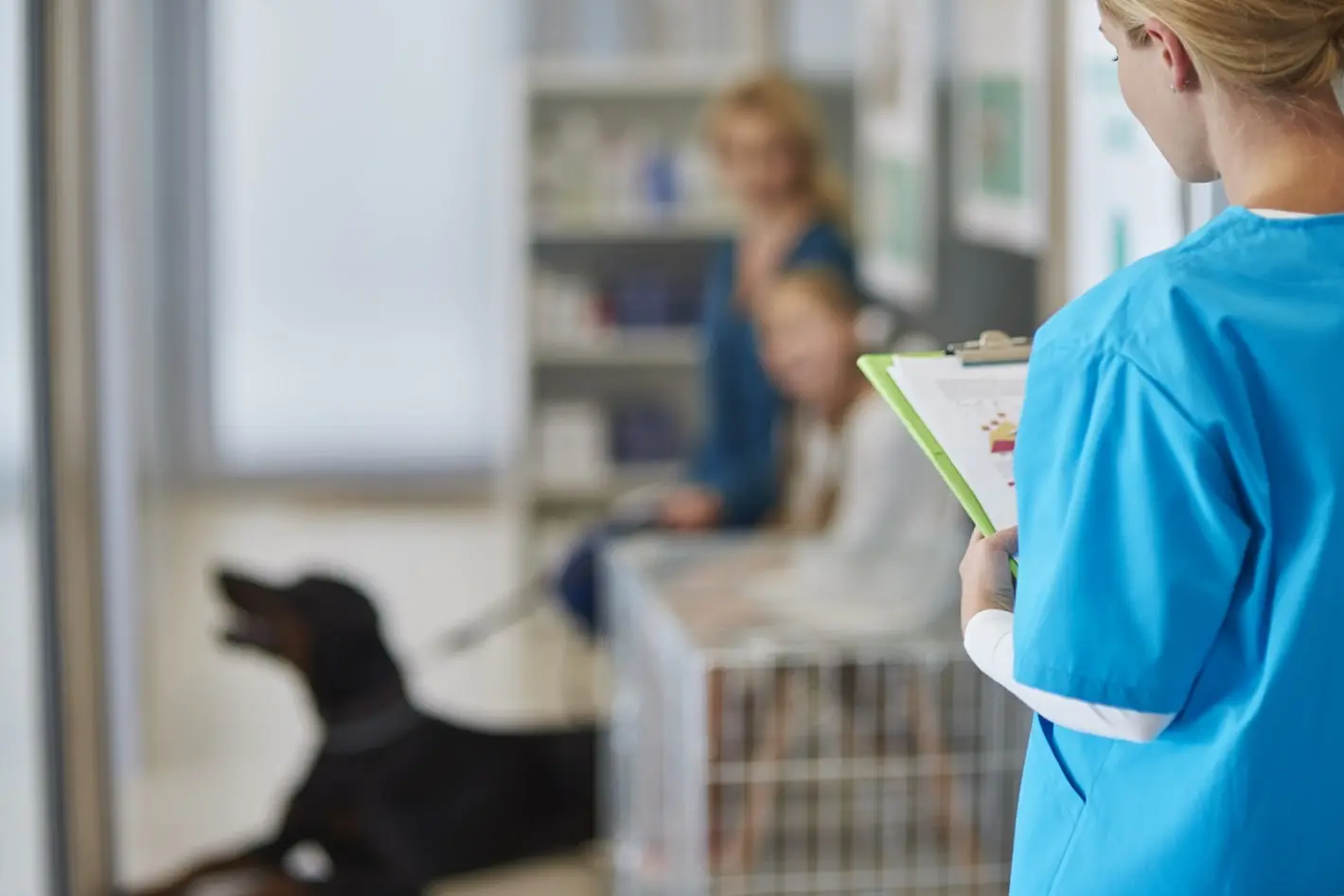 Internação 24h — Mirai Centro Veterinário