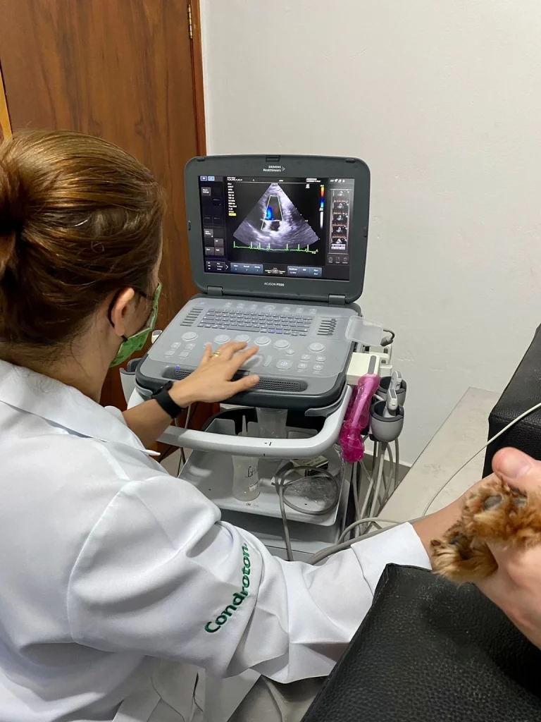 Ecodoplercardio Veterináro Vargem Grande Paulista